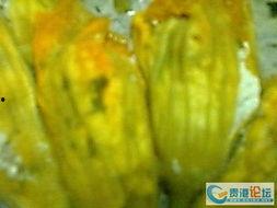 娱乐吃瓜酱花,揭秘娱乐圈那些不为人知的幕后故事