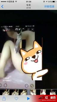 黄鳝女主播琪琪福利,直播界的性感传奇